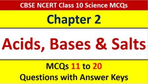 Read more about the article Acids Bases and Salts CBSE Class 10 Science MCQ Questions with Answer Keys