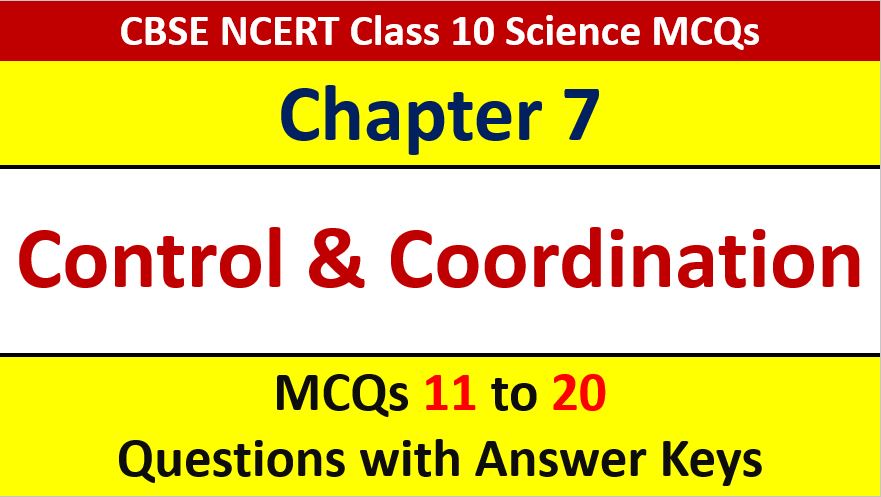 Read more about the article Control and Coordination CBSE Class 10 Science MCQ with Answer Keys Solutions