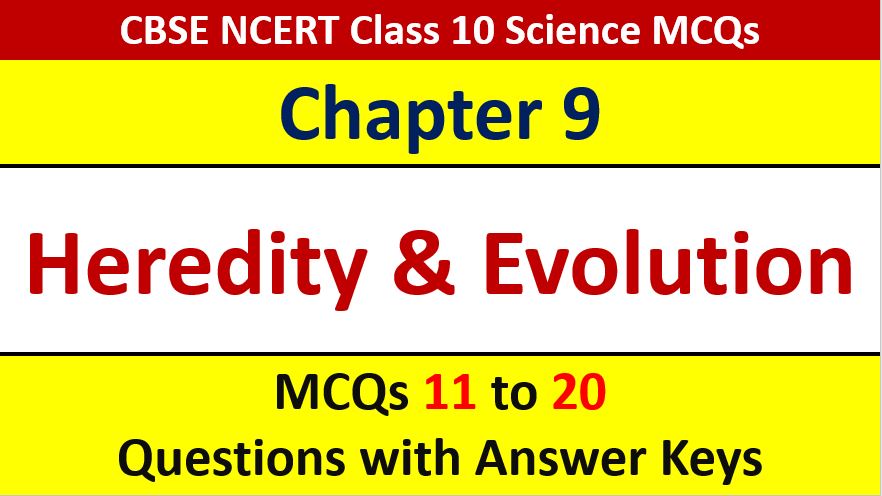 You are currently viewing Heredity and Evolution CBSE Class 10 Science MCQ with Answer Keys Solutions PDF Download