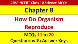 Read more about the article How Do Organisms Reproduce CBSE Class 10 Science MCQ with Answer Keys Solutions PDF Download