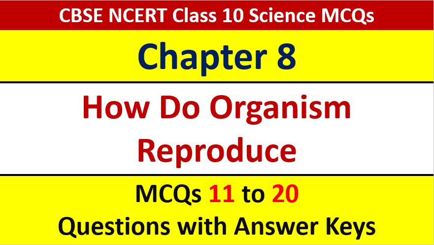 Read more about the article How Do Organisms Reproduce CBSE Class 10 Science MCQ with Answer Keys Solutions PDF Download