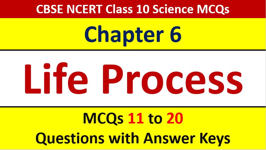 Read more about the article Life Processes CBSE Class 10 Science MCQ Questions with Answer Keys Solutions