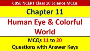 Read more about the article MCQ Questions for Class 10 Science Chapter 11 with Answer Keys