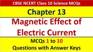 Read more about the article MCQ Questions for Class 10 Science Chapter 13 Magnetic Effects of Electric Current with Answer Keys