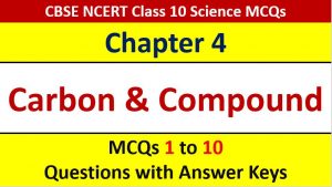 Read more about the article MCQ Questions for Class 10 Science Chapter 4 Carbon and its Compound with Answer Keys