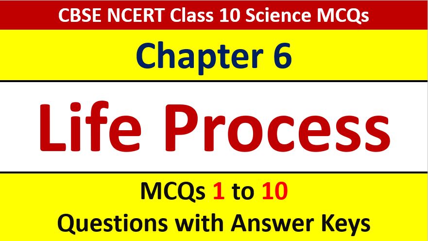 You are currently viewing MCQ Questions for Class 10 Science Chapter 6 Life Processes with Answer Keys and Solutions PDF