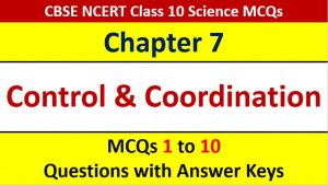 Read more about the article MCQ Questions for Class 10 Science Chapter 7 Control and Coordination with Answer Keys and Solutions PDF