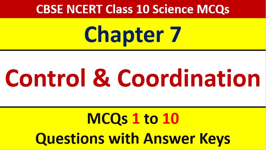 Read more about the article MCQ Questions for Class 10 Science Chapter 7 Control and Coordination with Answer Keys and Solutions PDF