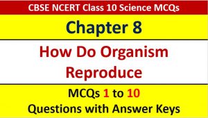 Read more about the article MCQ Questions for Class 10 Science Chapter 8 How Do Organisms Reproduce with Answer Keys and Solutions PDF