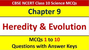 Read more about the article MCQ Questions for Class 10 Science Chapter 9 Heredity and Evolution with Answer Keys and Solutions PDF