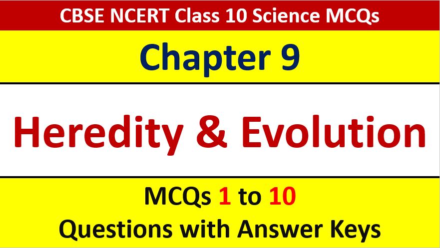 Read more about the article MCQ Questions for Class 10 Science Chapter 9 Heredity and Evolution with Answer Keys and Solutions PDF