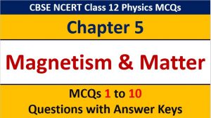 Read more about the article MCQ Questions for Class 12 Physics Chapter 5 Magnetism and Matter with Answer Keys
