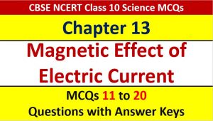 Read more about the article Magnetic Effects of Electric Current CBSE Class 10 Science MCQ Questions Answer Keys
