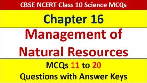 Read more about the article Management of Natural Resources CBSE Class 10 Science MCQ with Answer Keys