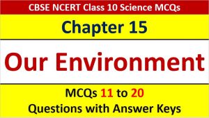 Read more about the article Our Environment CBSE Class 10 Science MCQ Questions with Answer Keys