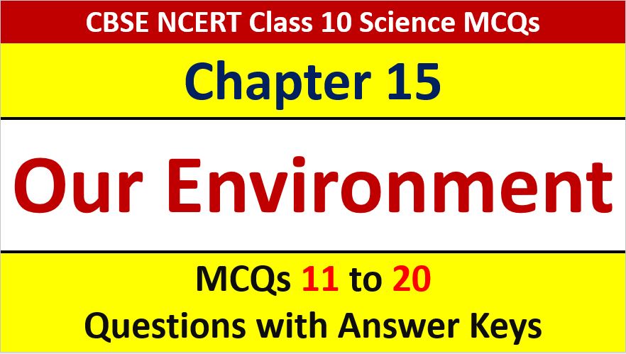 You are currently viewing Our Environment CBSE Class 10 Science MCQ Questions with Answer Keys