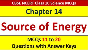 Read more about the article Sources of Energy CBSE Class 10 Science MCQ Questions with Answer Keys